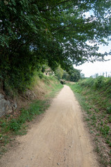 Obraz premium The green way of the carrilet path of Olot