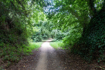 The green way of the carrilet path of Olot