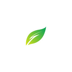 leaf energy logo design template. vector