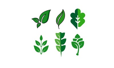 botany leaf logo