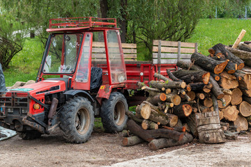 Old red tractor next to the pile of logs, firewood ready to heating season.