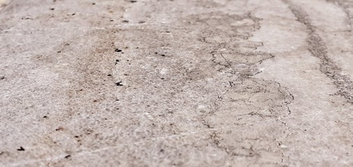 white wall background