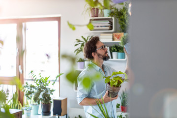 Man taking care of her potted plants at home