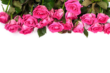 Beautiful rose flowers bunch isolated on white background