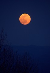 Fototapeta na wymiar Full moon in the sky