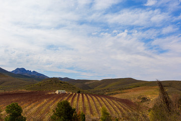 Naklejka premium farmland fields