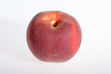 Pêche seule sur fond blanc