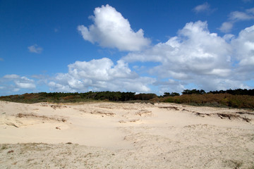 Sand drift in Dutch dunes;  Zeeland , Netherlands