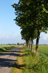 Typical rural landscape of Dutch province Friesland