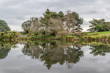 View of trees and low clouds reflecting in mirror like water surface of pond in garden