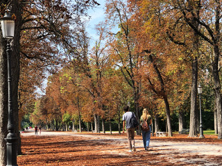 Young loving couple walking in autumn park. Yellow falling leaves. Autumn concept