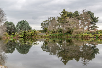 View of trees and low clouds reflecting in mirror like water surface of pond in garden