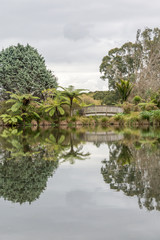 View of trees and low clouds reflecting in mirror like water surface of pond in garden