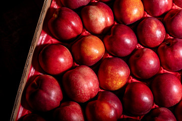 Nectarines rangées vu du dessus