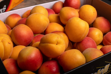 Abricots rangées vu de trois quart