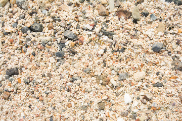 close up beautiful background and texture of rock and nature sea shell pattern on a sand beach