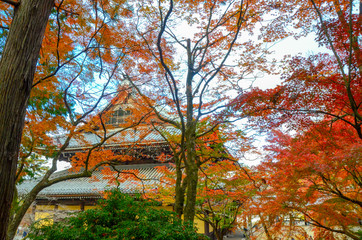 Himeji Castle, also called White Heron Castle, in autumn season, Japan