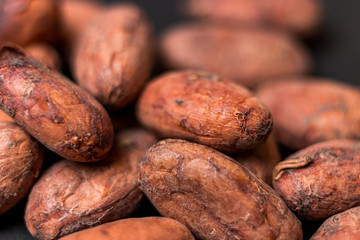 cocoa beans