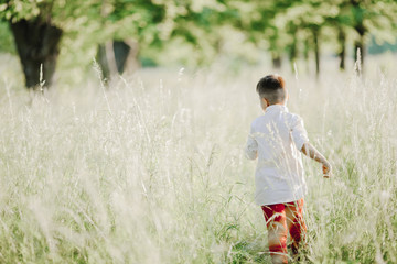 a little boy runs among greenery lawn