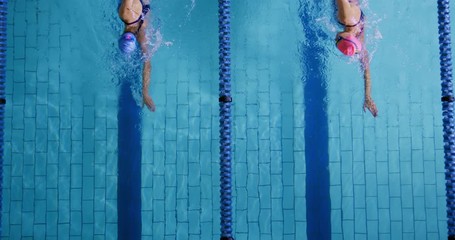 Swimmers training in a swimming pool
