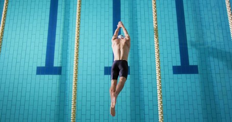 Swimmer training in a swimming pool - Powered by Adobe