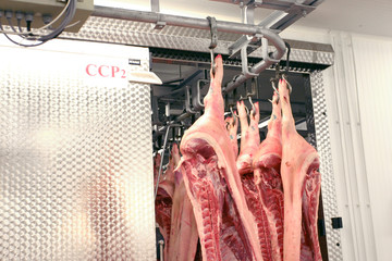 Pork hanging on hooks in a slaughterhouse