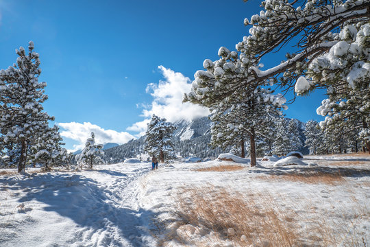 Winter scenery in Boulder, Colorado