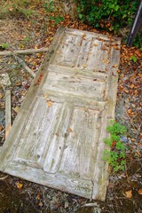 old ruined abandoned Ruins. Old wooden door lying on floor surrounded by dead brown leaves of...