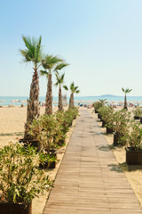 palm trees and wooden footpath on the beach in resorting Burgas city, Bulgaria
