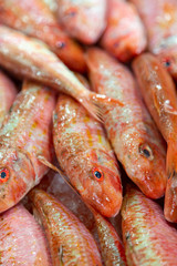 Fresh fish on the local market of Olhao, Algarve, Portugal.