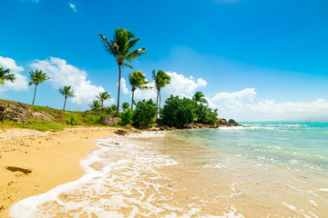 Golden sand in Guadeloupe