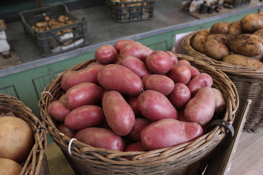 Fresh roseval potatoes in round wicker basket.