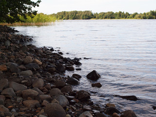 Nature on the lake. Summer sunny day