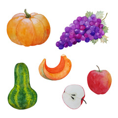 watercolor collection of autumn vegetables and fruits for thankthgiving or autumn harvest festival design, vector illustration isolated on white background