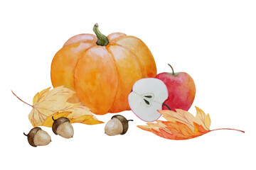watercolor autumn composition with pumpkin, apples, maple leaves and acorns, hand painted vector illustration for thanksgiving holiday or autumn harvest festival design