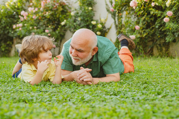 Naklejka na ściany i meble Grandson embrace his grandfather. Happy grandfather and child grandson laugh and have fun together in summer in nature. Happy father and son on meadow in summer.
