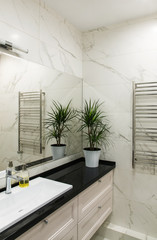Bathroom with big mirror and potted plant
