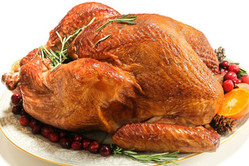 Thanksgiving Roasted Turkey isolated on white, selective focus