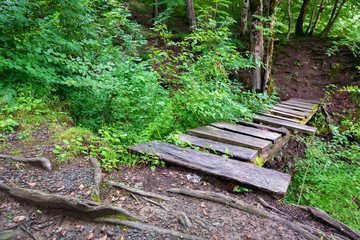 Small wooden bridge in green forest close