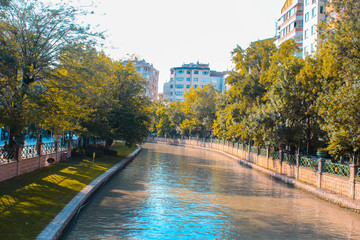 autumn in the park