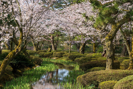 3 819 Best Kenrokuen Images Stock Photos Vectors Adobe Stock 3 819 Best Kenrokuen Images Stock Photos Vectors Adobe Stock