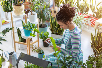 Woman taking photo of potted plant with her smartphone
