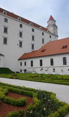 Fototapeta na wymiar Castle in Bratislava. Slovakia in the summer.