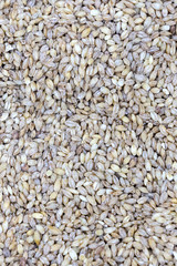 Barley grits, close up as natural food background