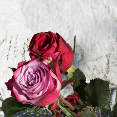 One Deep Purple rose with green leaves in the front and one red rose in the background. Copy space above, on the stony backdrop.