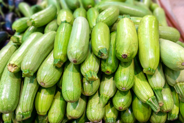 a lot of green fresh squash, the counter of the village vegetable market, new harvest, useful vitamins