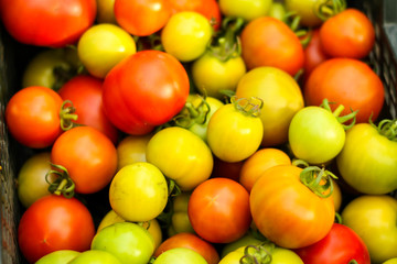 Beautiful background image of lovely Tomatoes right after taking them off plants.