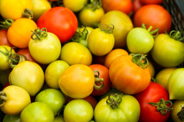 Beautiful background image of lovely Tomatoes right after taking them off plants.