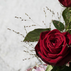 Red Naomi rose with green leaves and grasses on a stony background.
