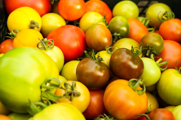 Beautiful background image of lovely Tomatoes right after taking them off plants.